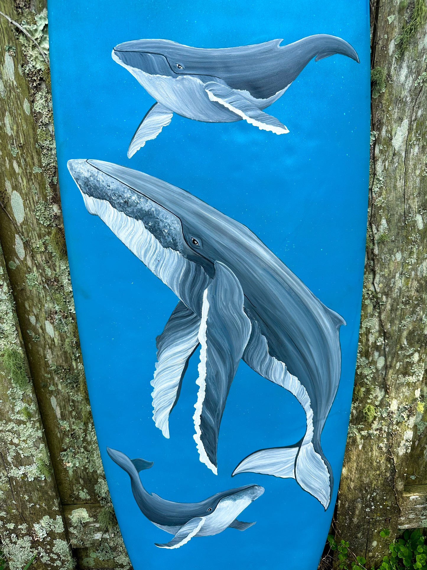 Whale, whale, whale...
