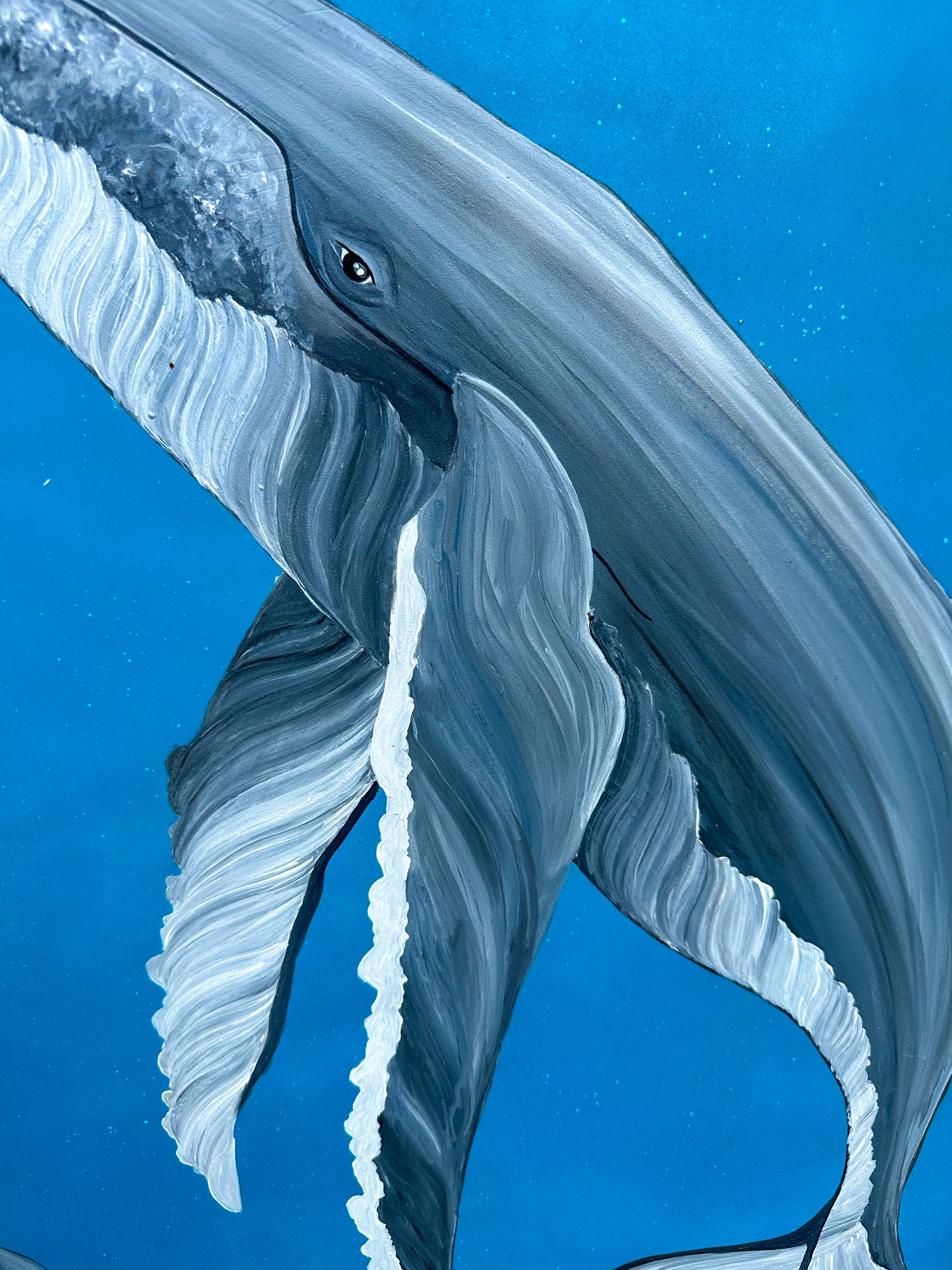 Whale, whale, whale...