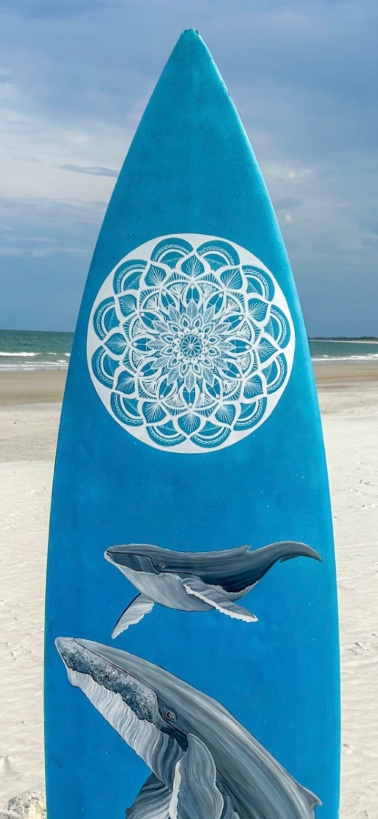 Whale, whale, whale...