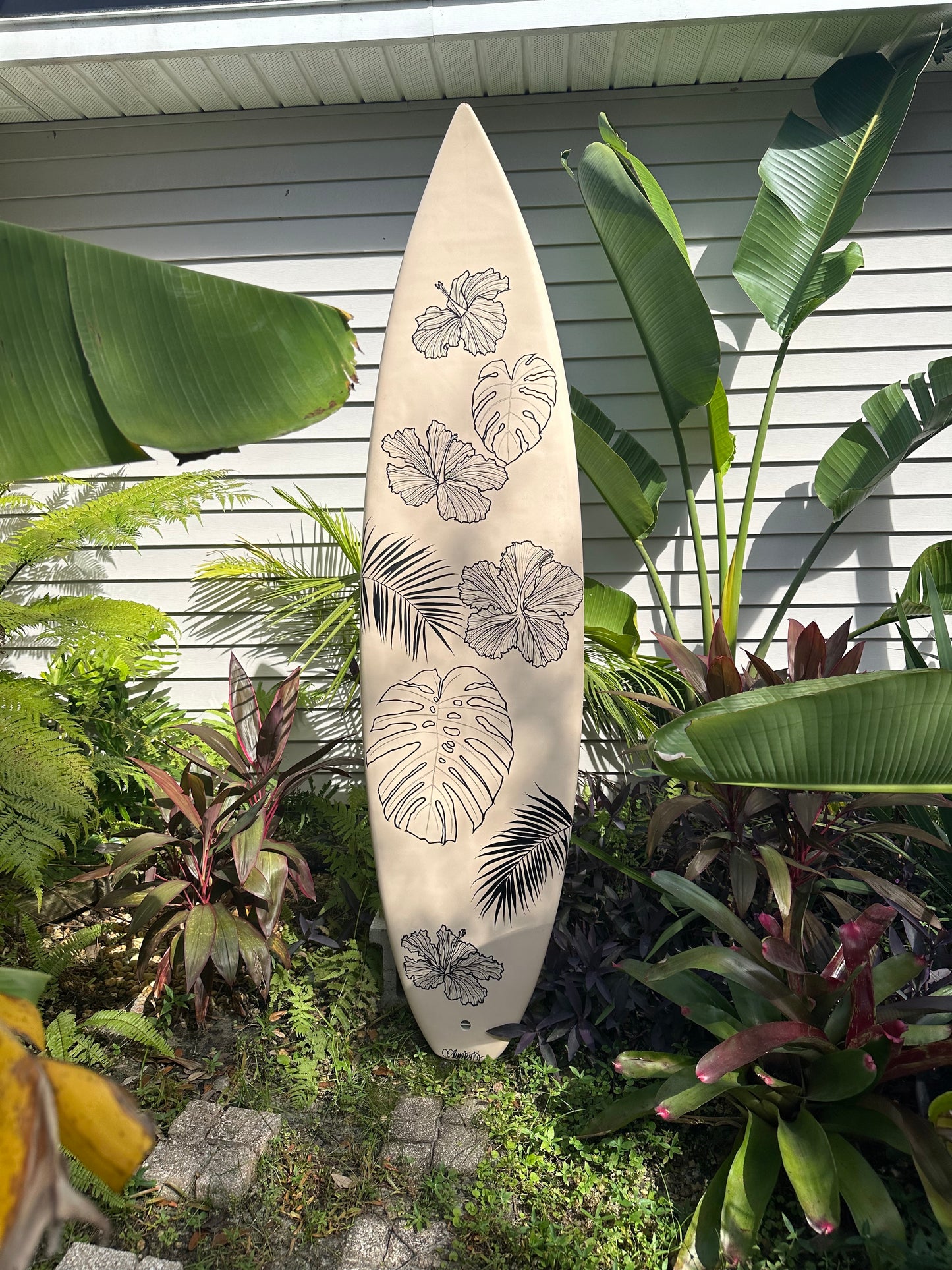 Dreaming in Tropics (Simple)