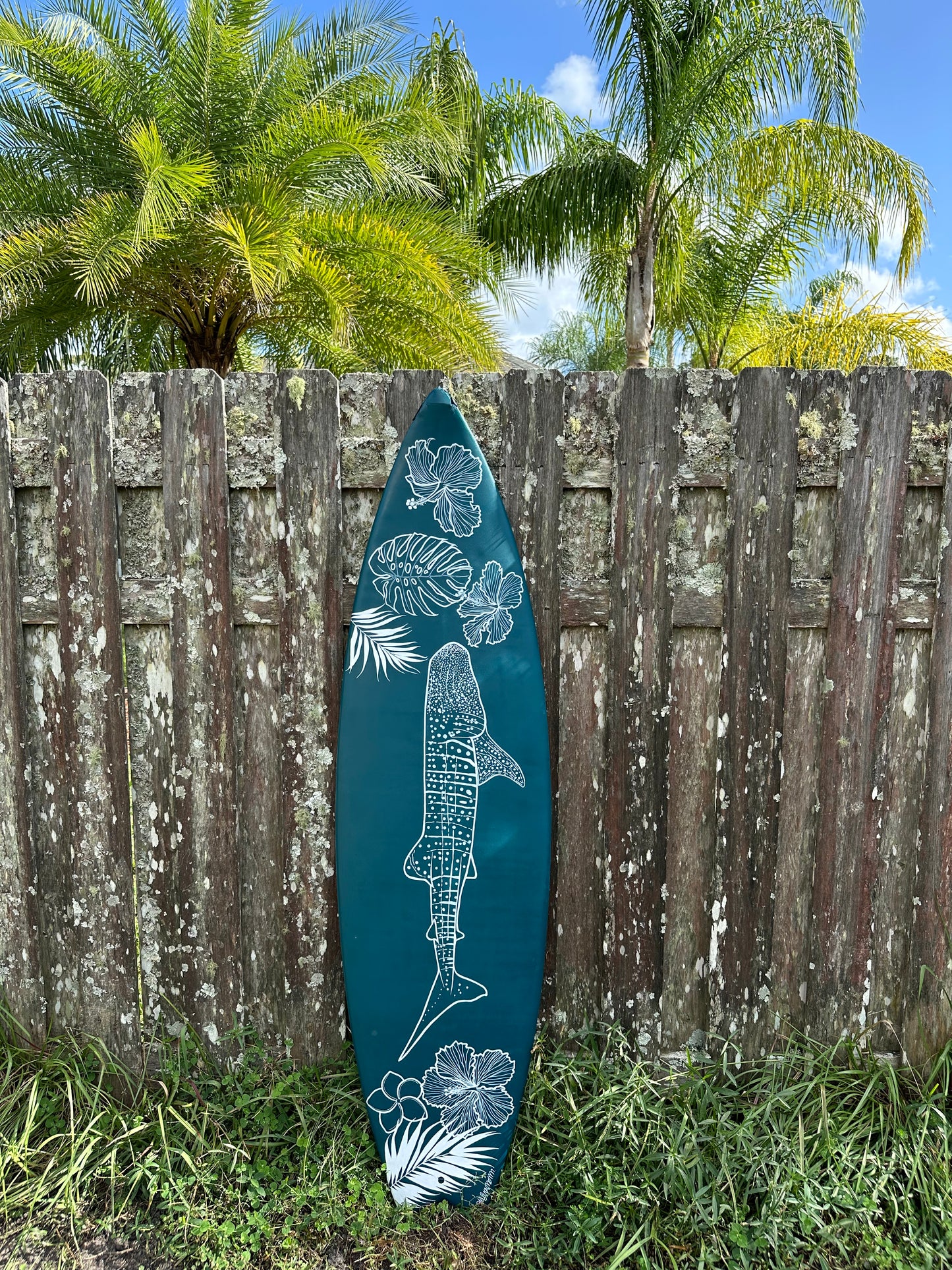 Whale Shark