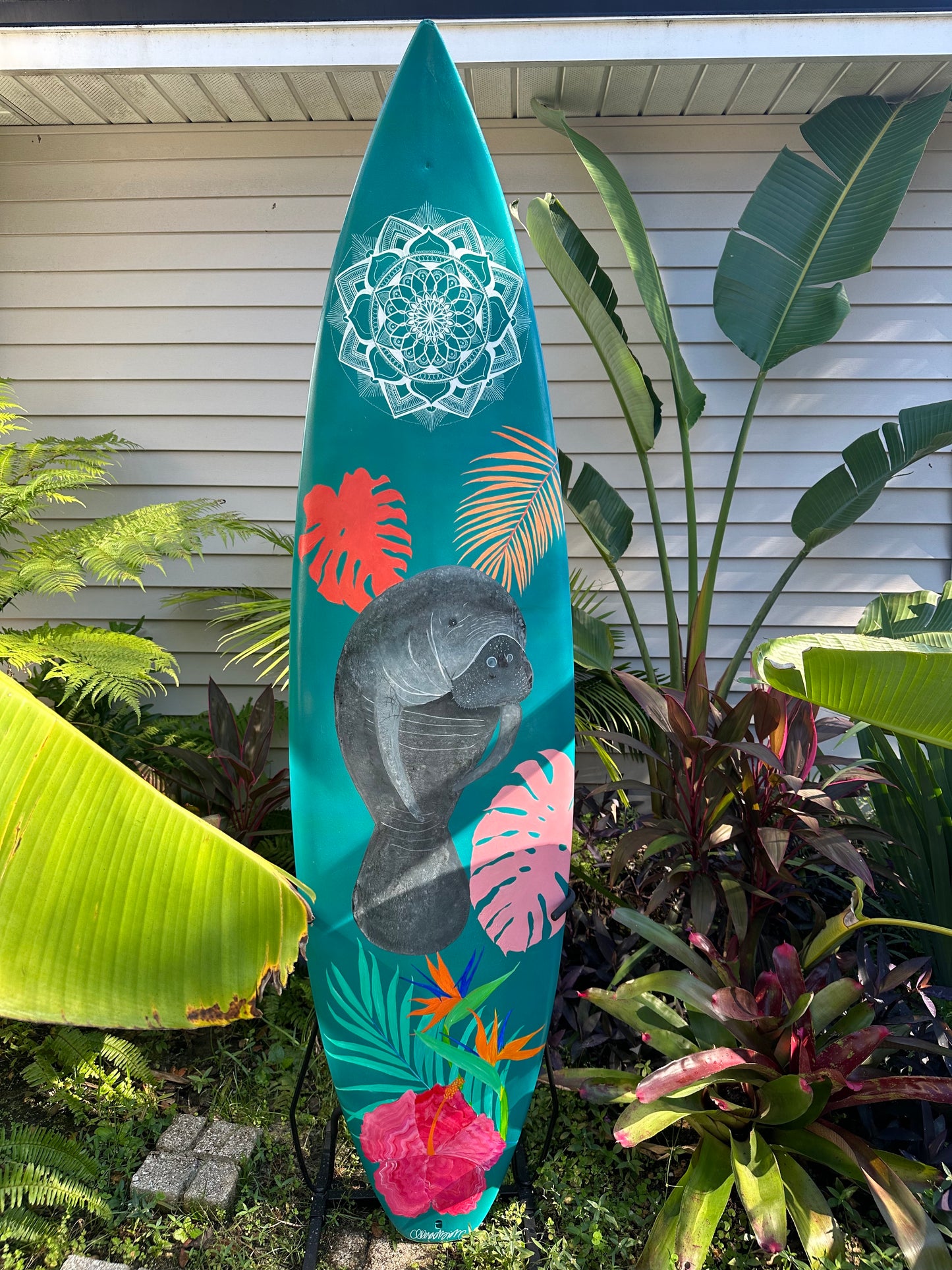 Manatee Board