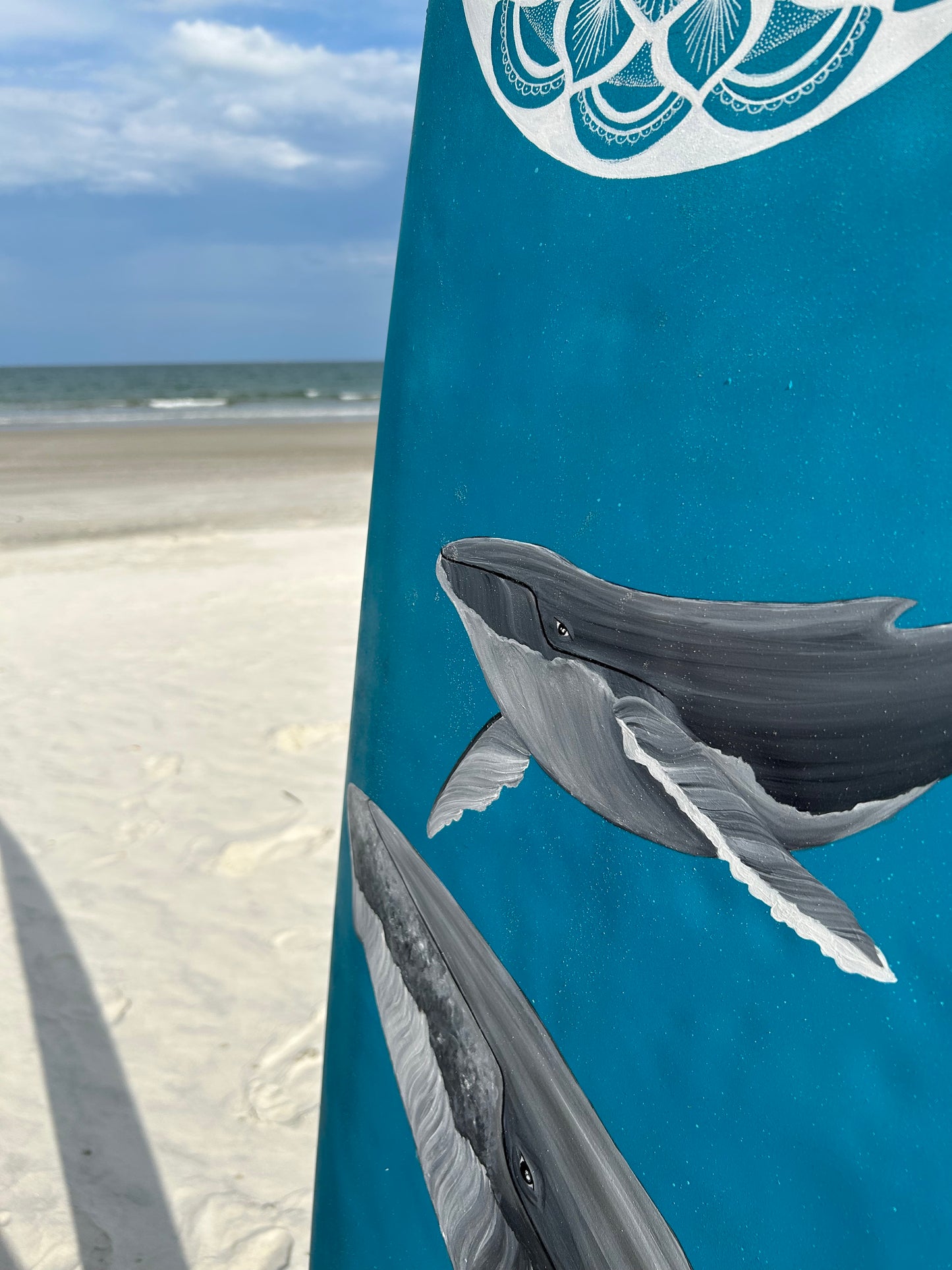 Whale, whale, whale...