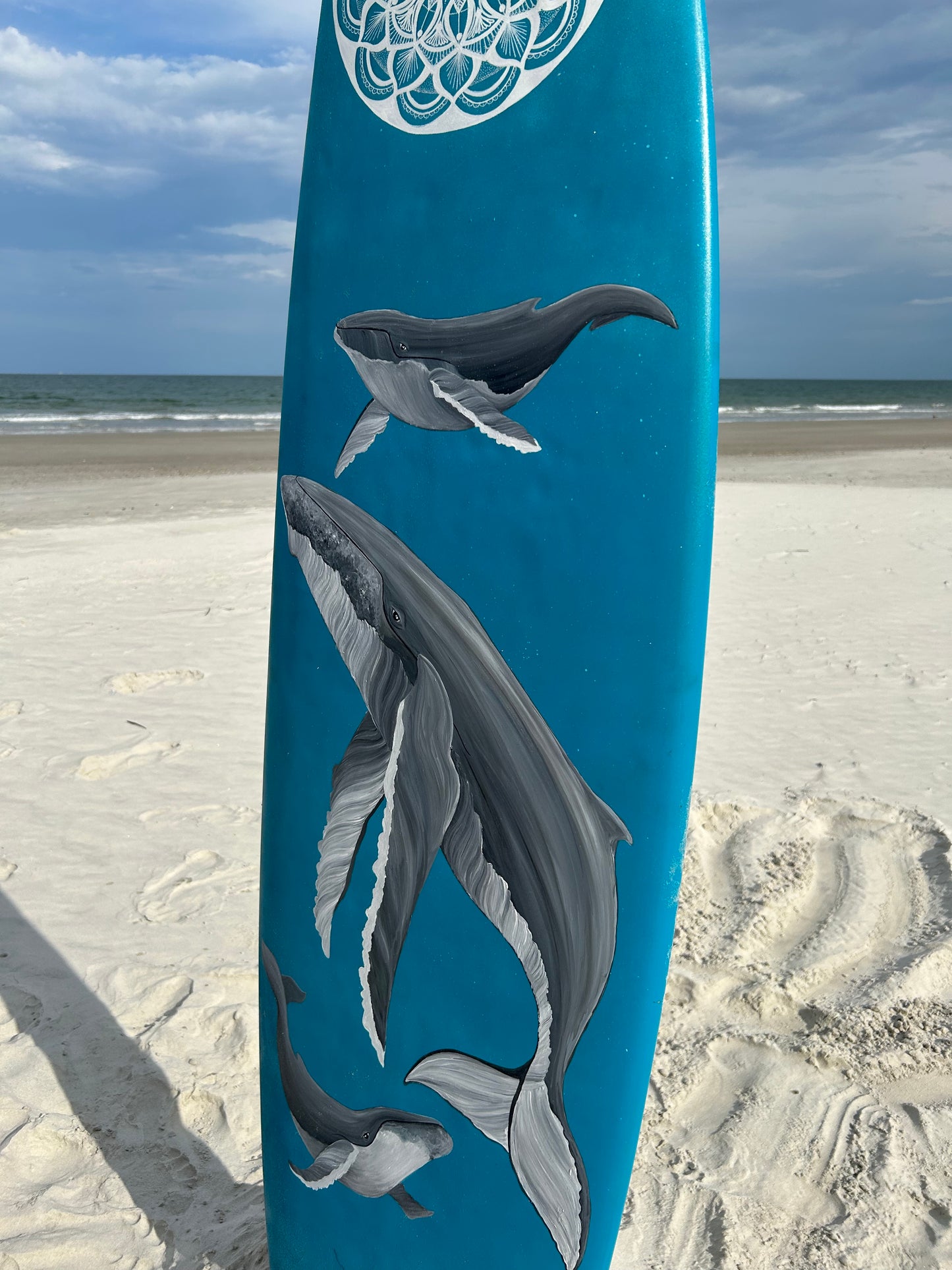 Whale, whale, whale...