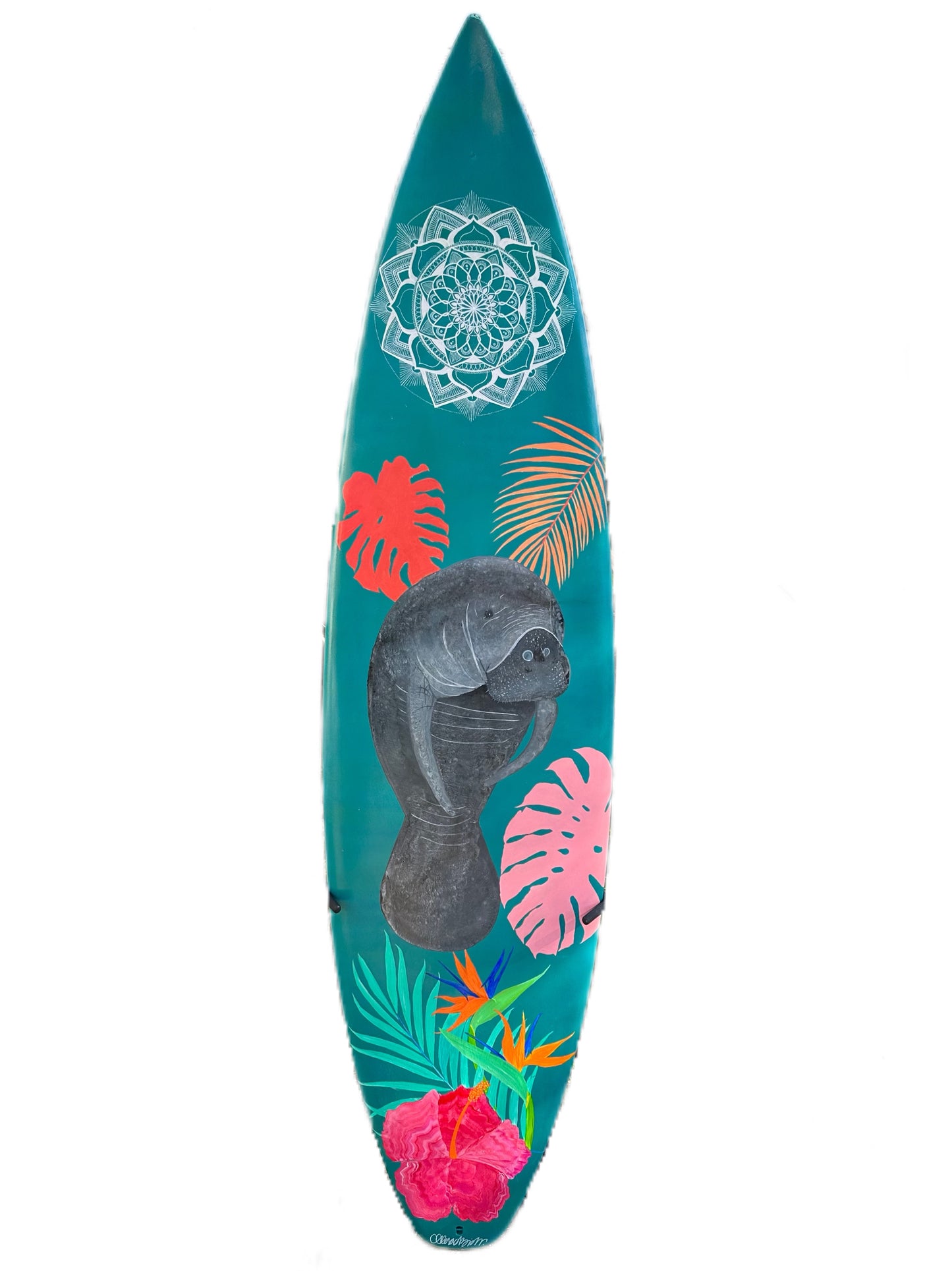 Manatee Board