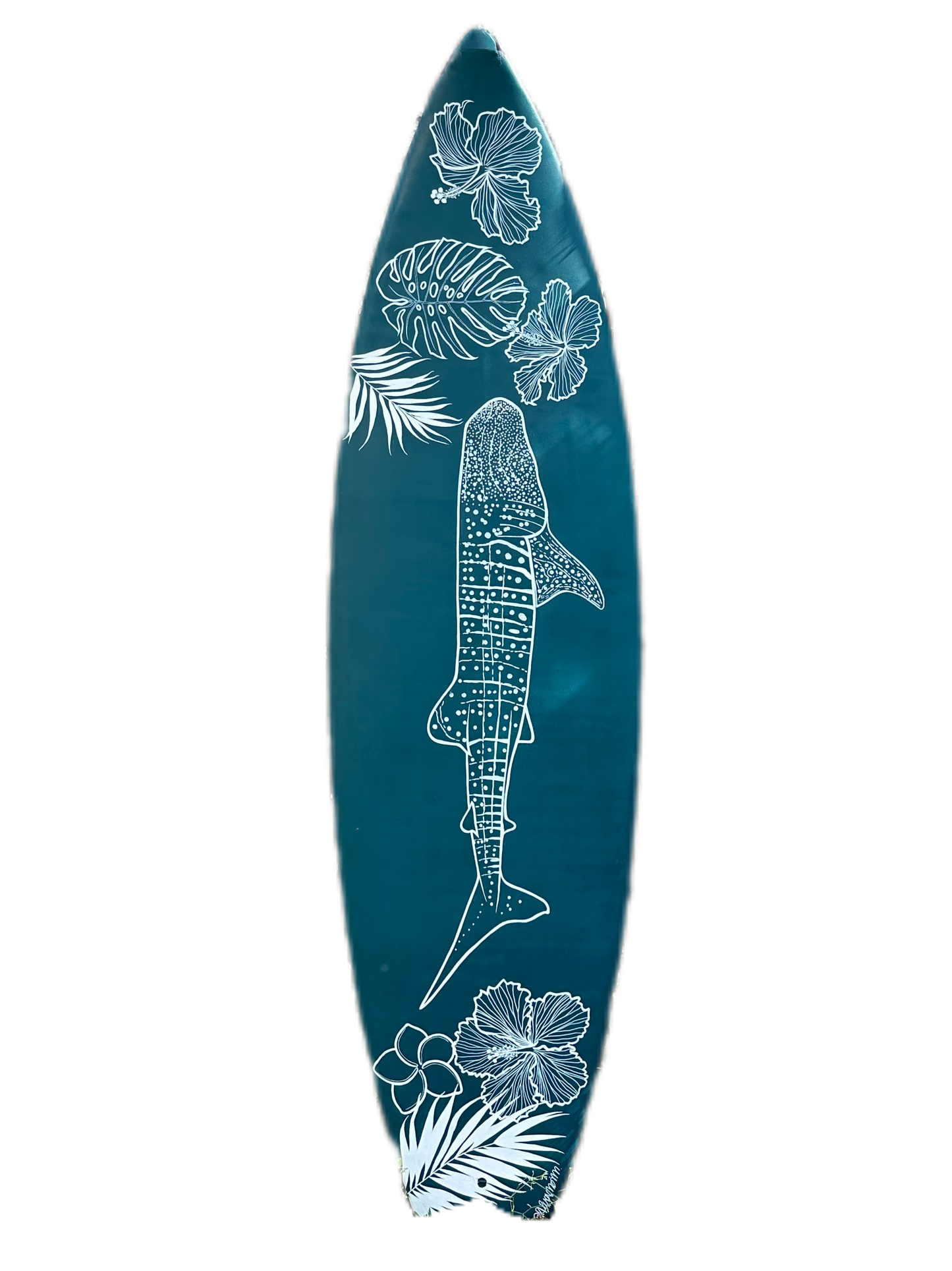 Whale Shark