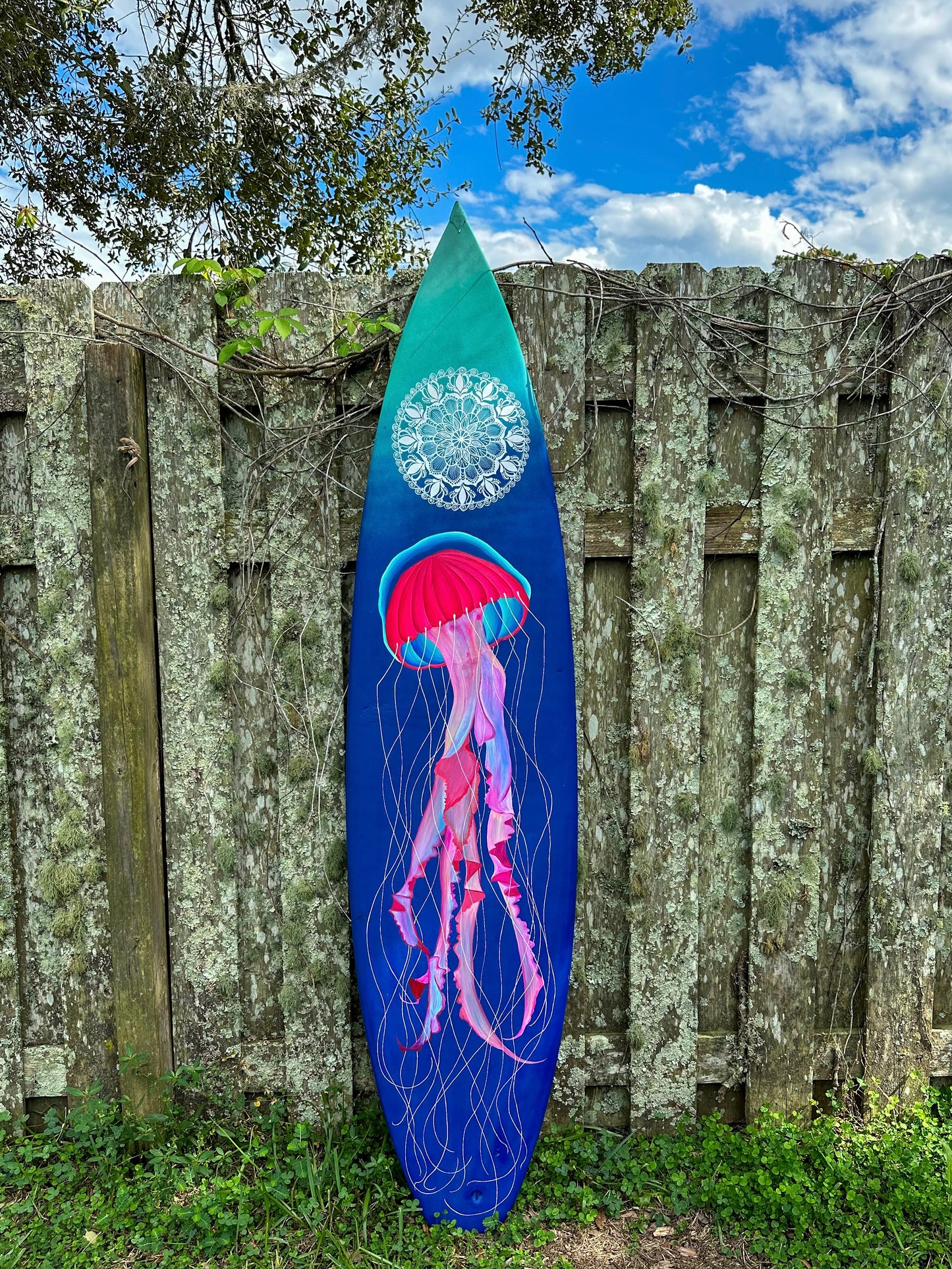 Jelly Board