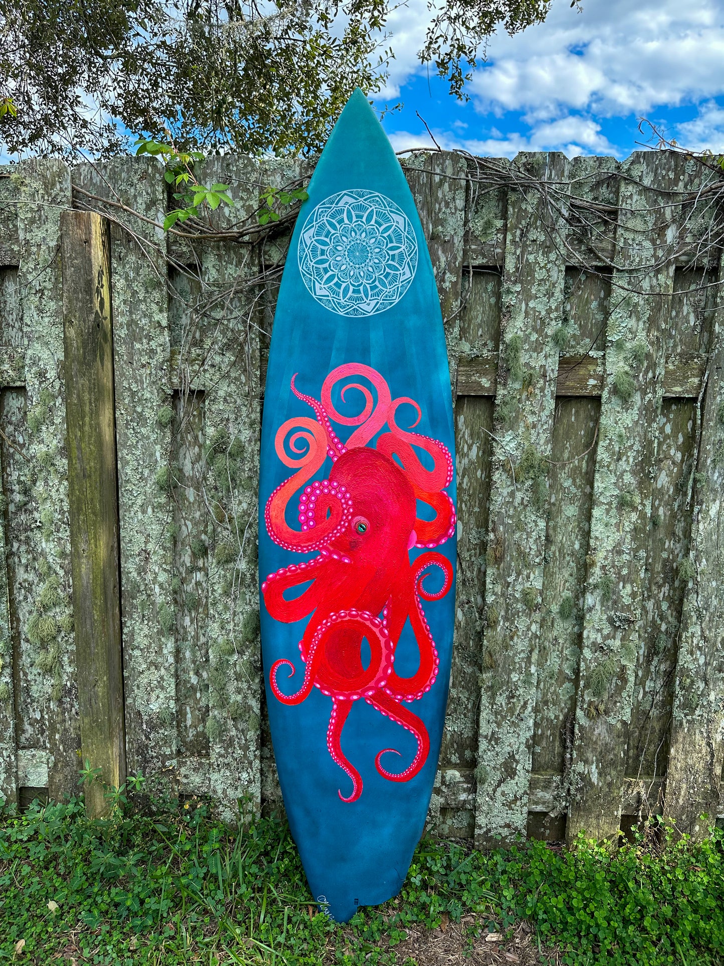 Cephlapod